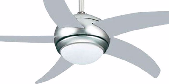 Anemistiras Orofis Primo PRCF-80425 Asimi